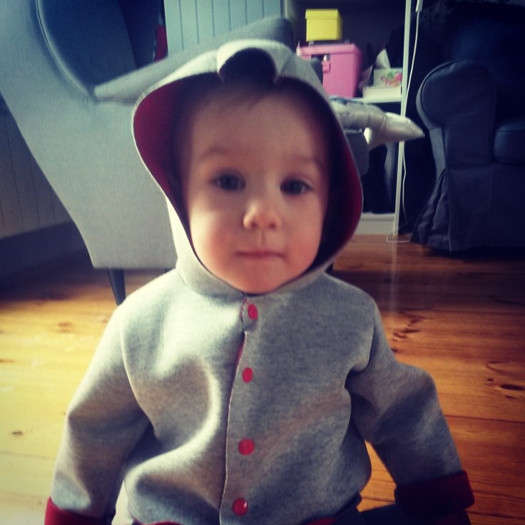 IMG_20150225_130700.jpg image