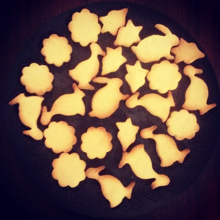 IMG_20150403_234115.jpg image