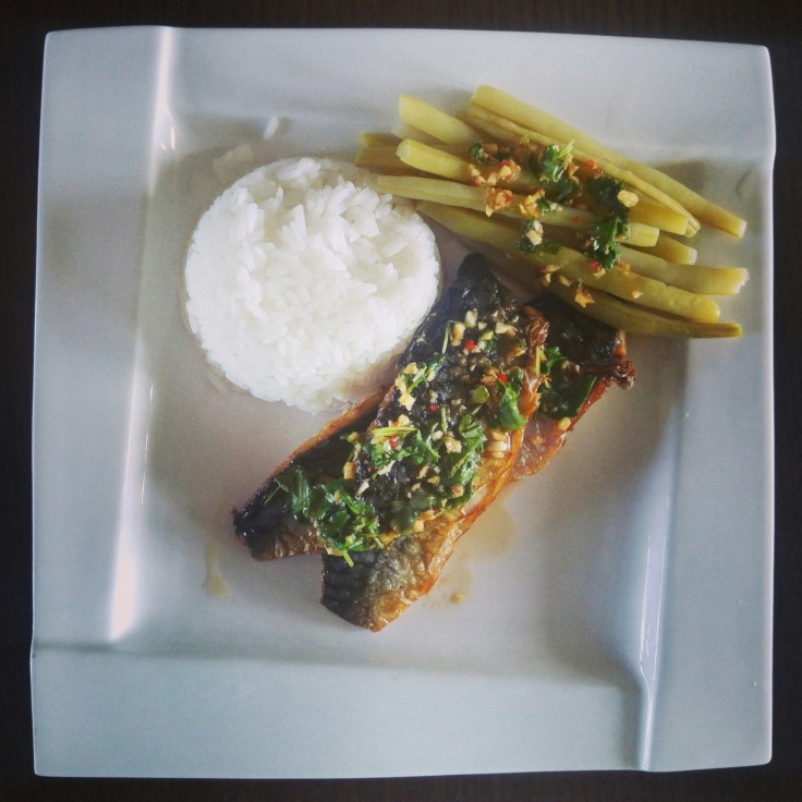 wp-1469520147751 image